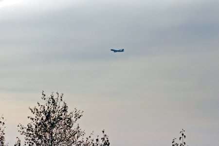 bilde-7.jpg