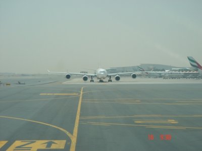dxb3.jpg
