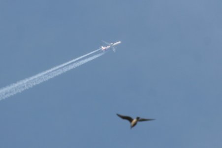 9m-mrn.jpg