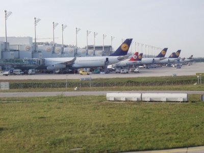 spotting muc.jpg