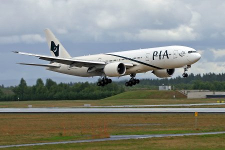 pia-3.jpg