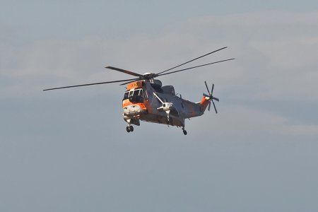 rnoaf_330_seaking_1y7j0702r.jpg