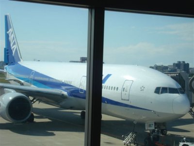 ana 773 17oct07.jpg