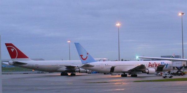 ams01.jpg