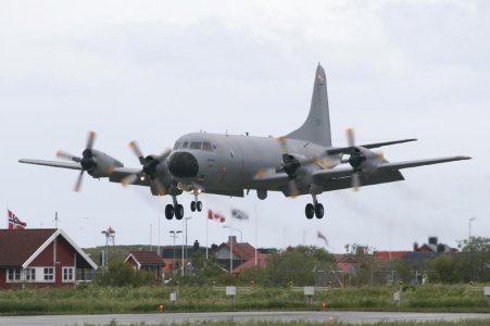p3.jpg