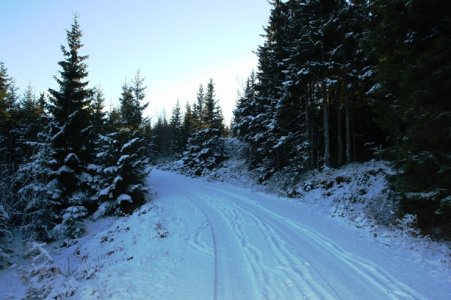 Natur 001.jpg