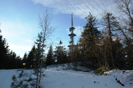 Natur 003.jpg