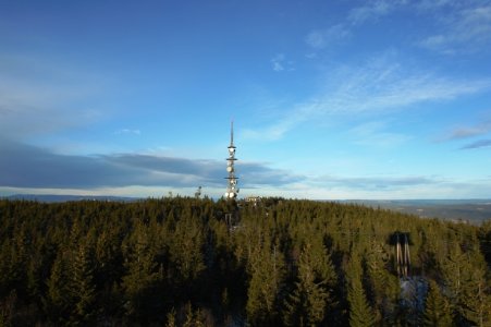 Natur 010.jpg