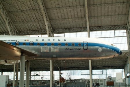 CaraBrRDSCF0794.jpg