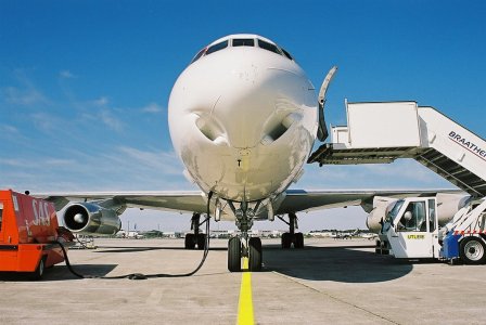 ddc8 nose.jpg