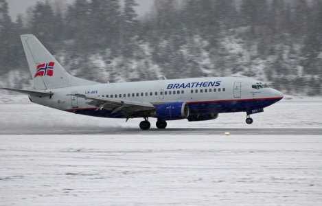 fly-017.jpg