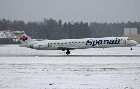 fly-036.jpg