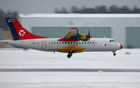 fly-194.jpg