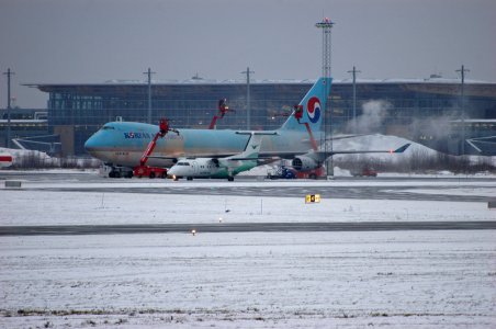 fly-240.jpg