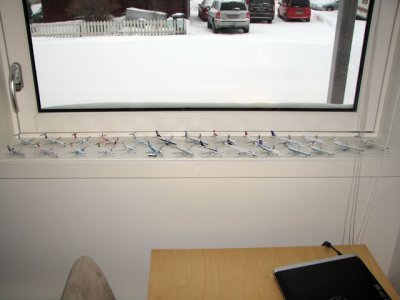 IMG_1011.jpg