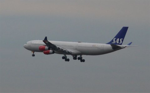 sas.jpg