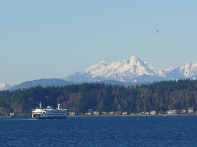 bainbridge.jpg