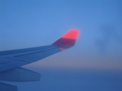 DSC02570 (Medium).JPG DSC02570 (Medium).JPG