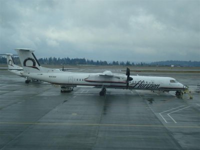 DSC02649 (Medium).JPG