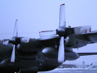 P2020023 edit.jpg