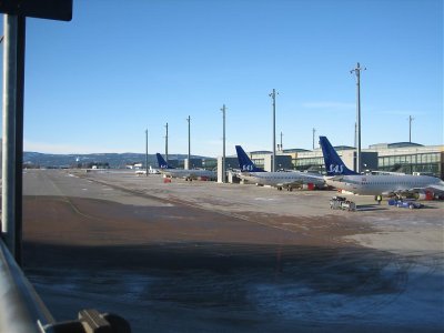 IMG_2571.jpg