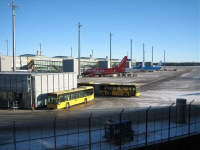 IMG_2565.jpg