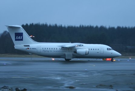 SAS_D-AMGL_b_.jpg