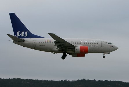 SAS_LN-RCT_.jpg