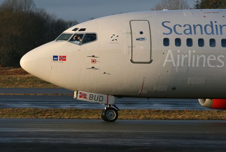 SAS_LN-BUD_b_.jpg