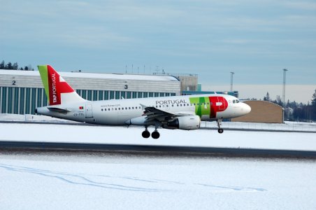 DSC_00080001.JPG