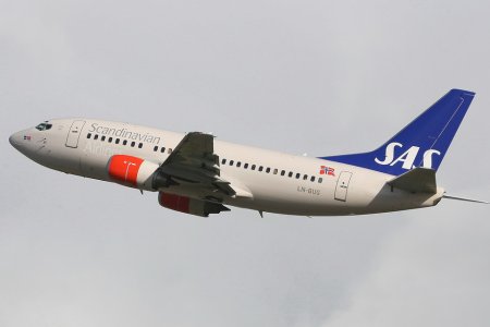 LN-BUG-960.jpg