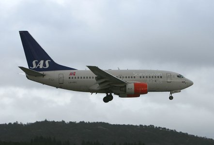 SAS_737-600_LN-RRC_b_.jpg