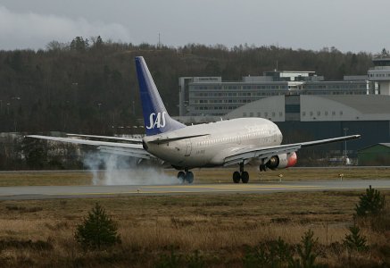 SAS_737-600_LN-RRZ_b_.jpg