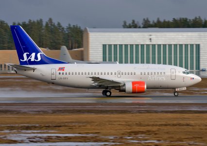 _MG_7216.jpg