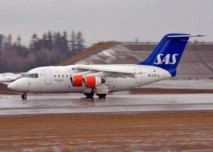 _MG_7225.jpg