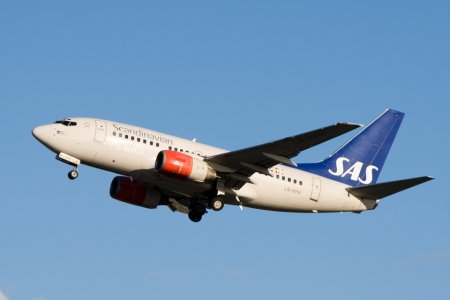 IMG_1074_2.jpg