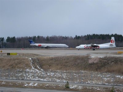 DSC02779 (Medium).JPG