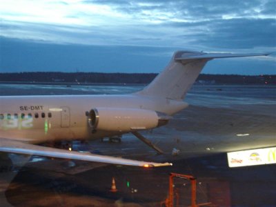DSC02810 (Medium).JPG