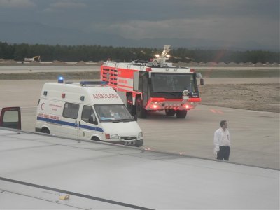 fly1.jpg
