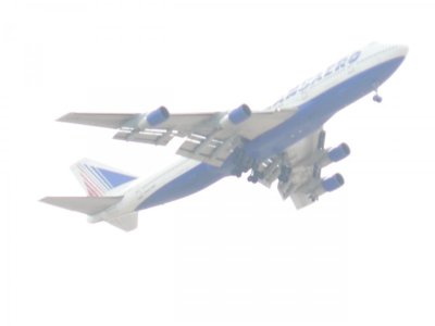 fly2.jpg