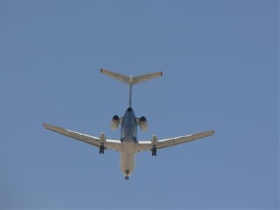 fly4.jpg