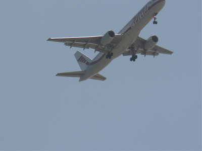 fly5.jpg