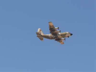 fly6.jpg