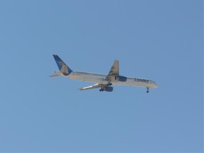 fly7.jpg