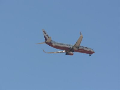 fly8.jpg