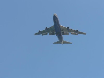 fly9.jpg