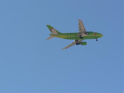 fly10.jpg