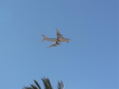 fly11.jpg