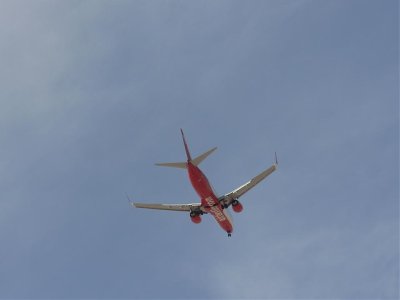 fly14.jpg