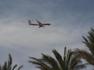 fly15.jpg